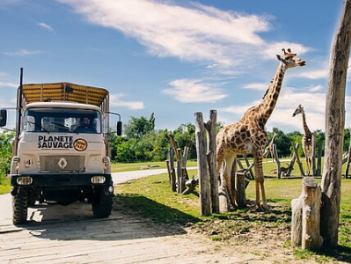 SAINT PHILBERT DE GRAND LIEU (proximite/fauteuil)